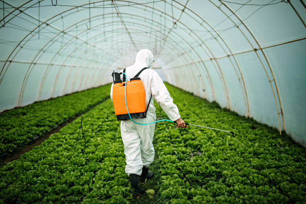 Best Best Pest Control Companies  in Robins, IA