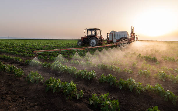 Best Pest Inspection Near Me  in Robins, IA
