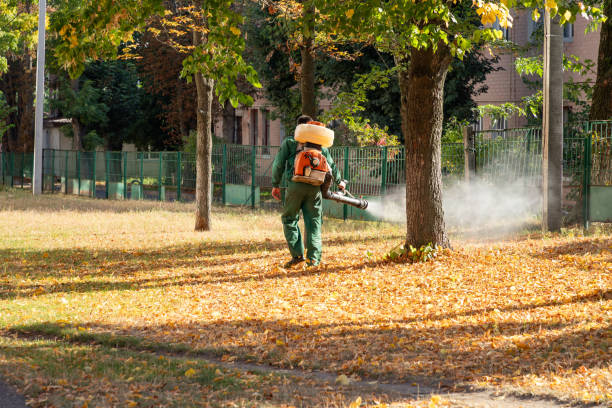 Best Wildlife Control Services  in Robins, IA