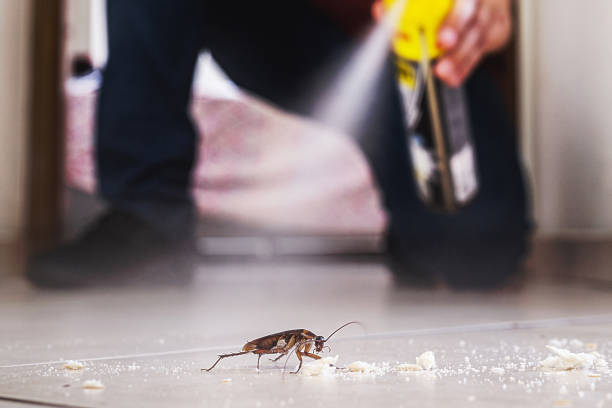 Professional Pest Control in Robins, IA