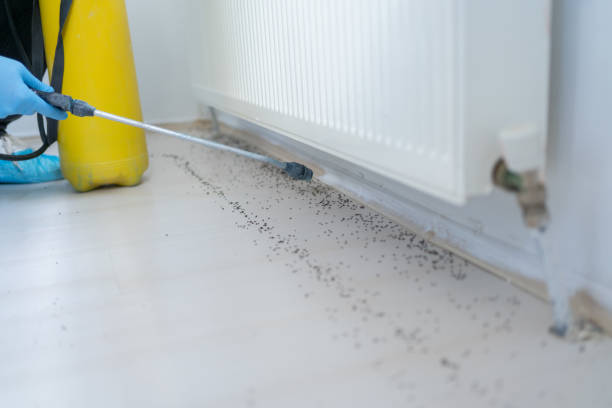 Best Pest Control for Homes  in Robins, IA